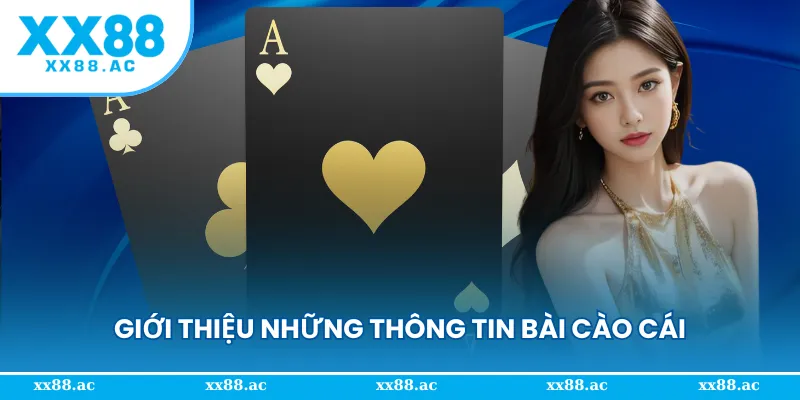 Giới thiệu những thông tin quan trọng về bài cào cái